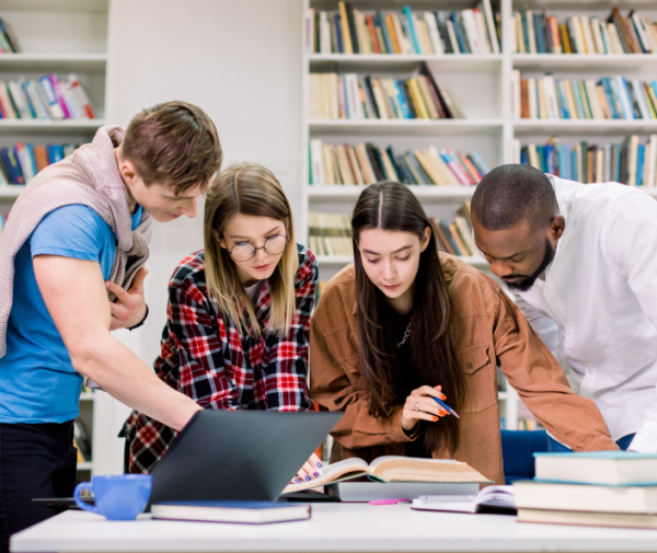Board and Leadership – Softtech Global Institute
